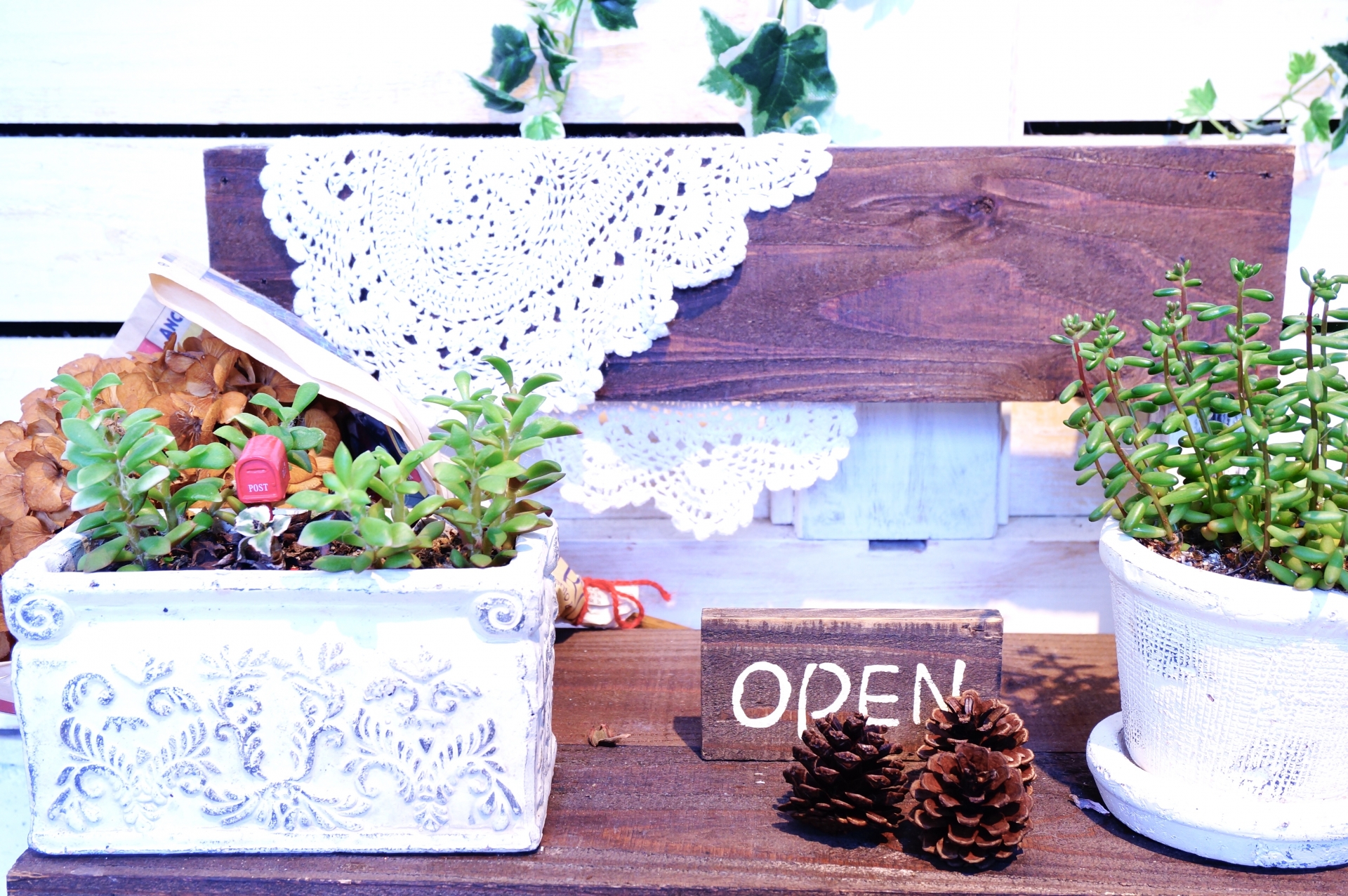 美容室・エステサロン・美容サロンの集客情報を発信！！